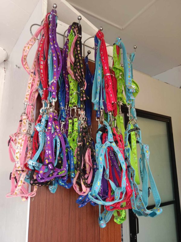 Dog lace