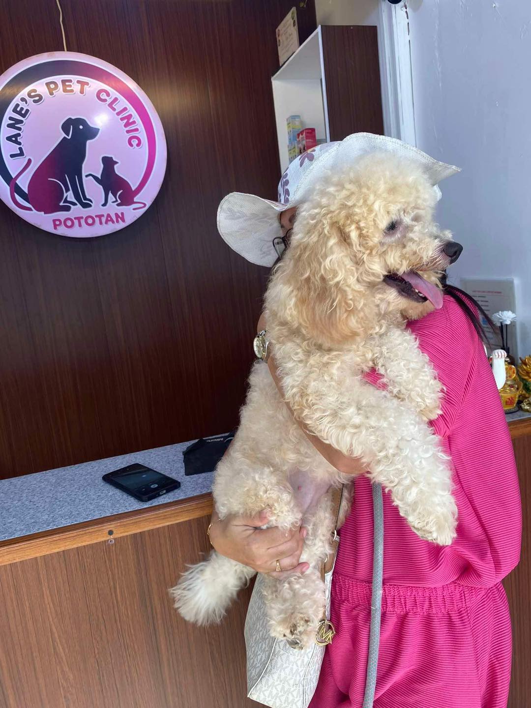 494112003_1273374941458148_3512079038289664832_n